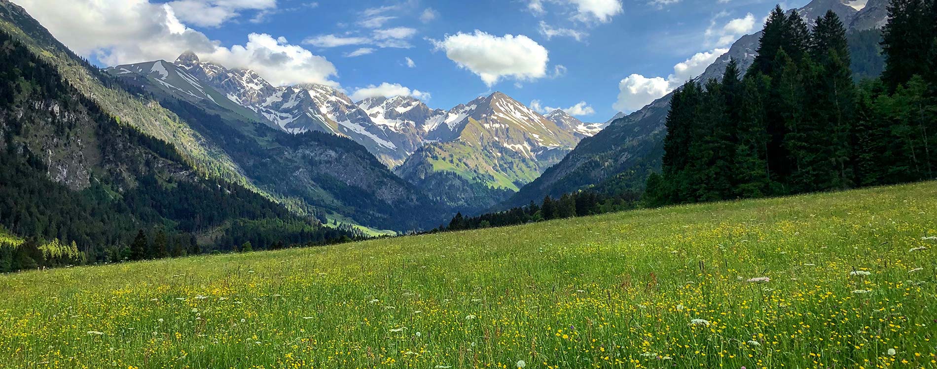ITS Scheiber Ziviltechniker Naturschutz und Landschaftsplanung